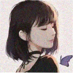 用户南岸的风的头像